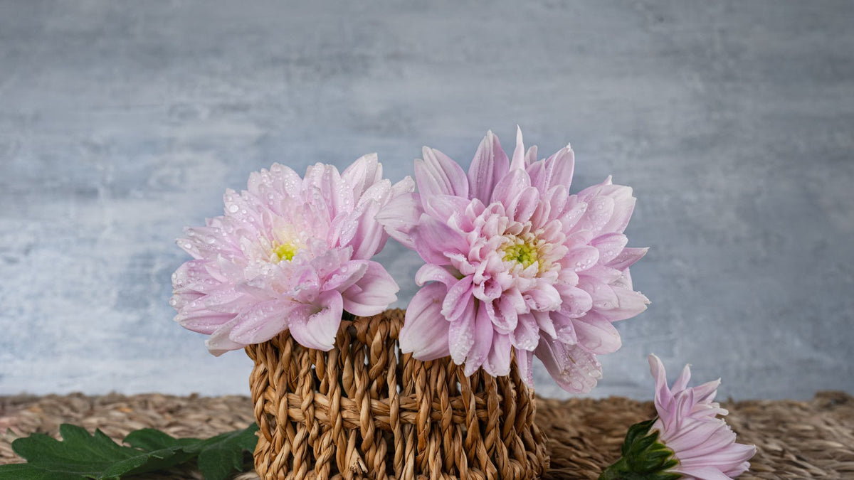 comment-faire-un-decor-champetre Imagen