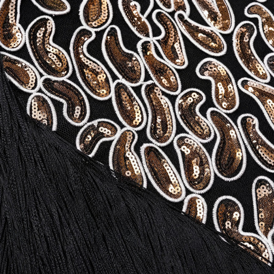 Robe Charleston à Franges Asymétriques Sequins - close-up détail matière