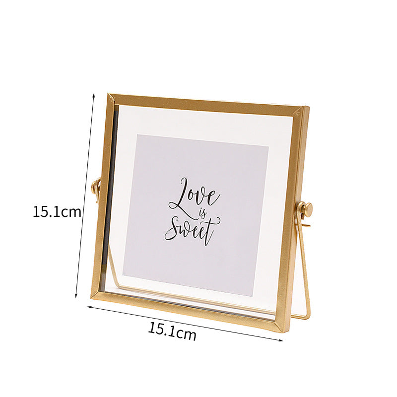 cadre-photo-vintage-creatif-de-specimen
