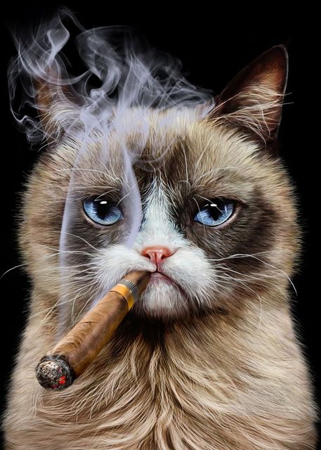 affiche-et-impression-de-toile-de-style-animal-mignon-drole