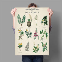 affiche-murale-deducation-botanique-de-jardin-dherbes-vintage